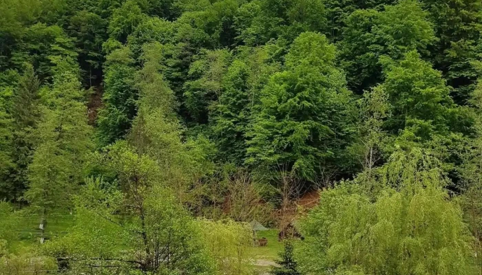 Bughea De Sus -  Zonă - Bughea De Sus