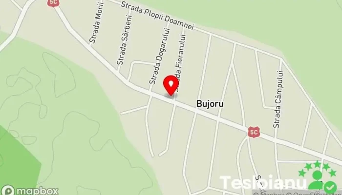 hartă a Bujoru  în Bujoru