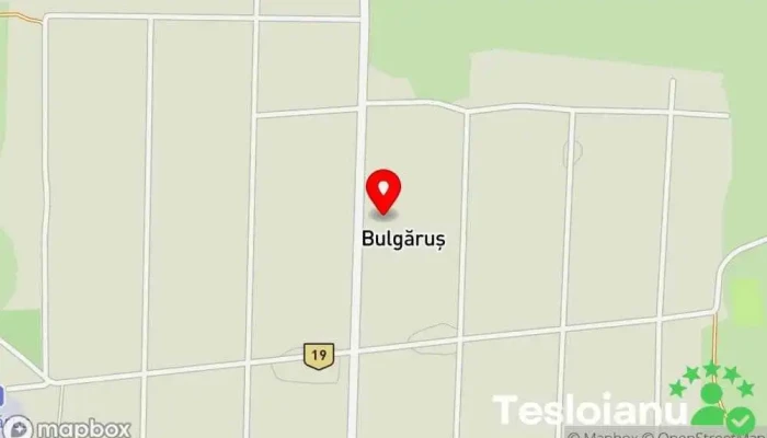 hartă a Bulgăruș  în Bulgăruș