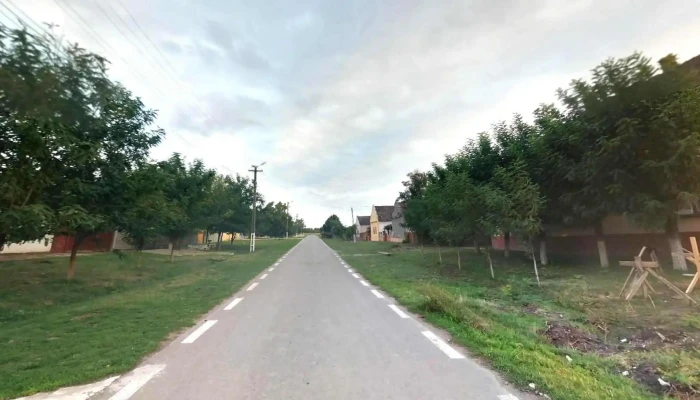 Bulgarus Street View Si 360deg - Bulgăruș