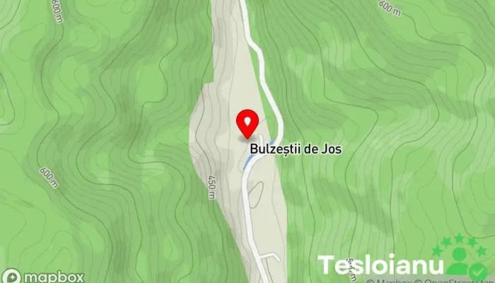 hartă a Bulzeştii de Jos  în Bulzeştii de Jos