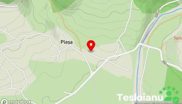 hartă a Bumbesti Jiu Complex de locuinţe în Pleşa