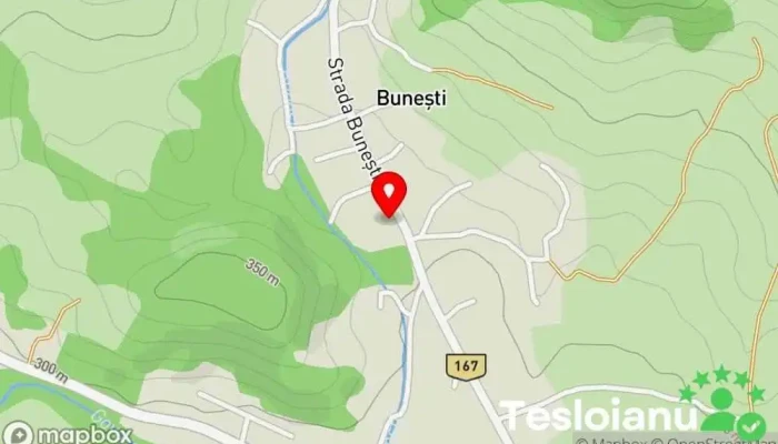 hartă a Bunești  în Bunești