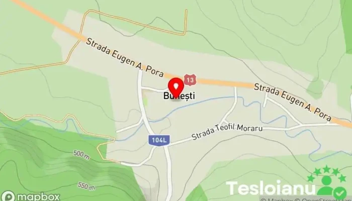hartă a Bunești  în Bunești