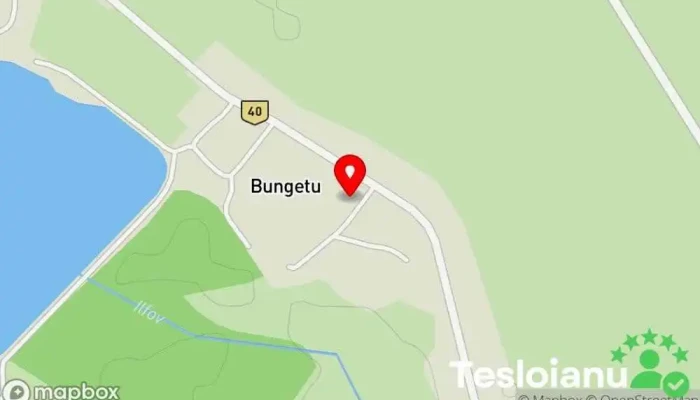 hartă a Bungetu  în Bungetu