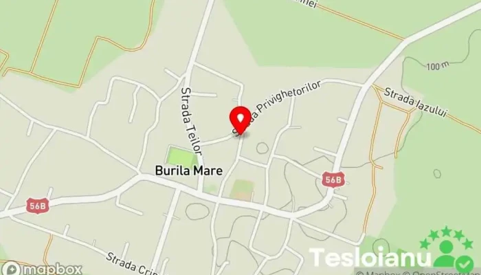 hartă a Burila Mare  în Burila Mare