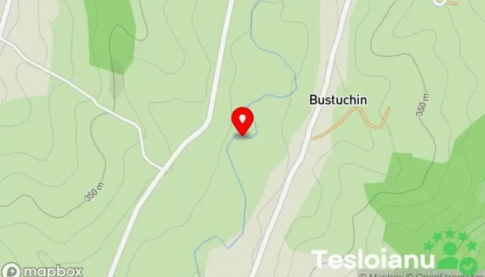 hartă a Bustuchin  în Bustuchin