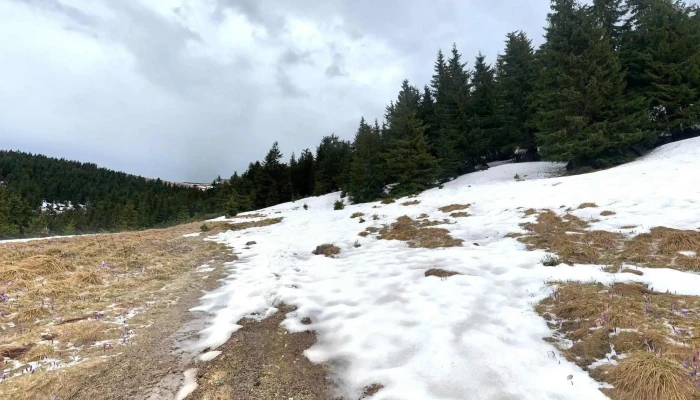 Buteasa -  Street View Si 360deg - Buteasa