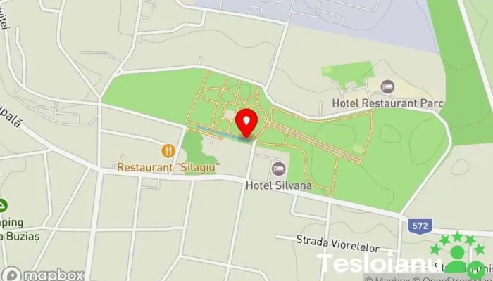 hartă a Buziaș  în Buziaș