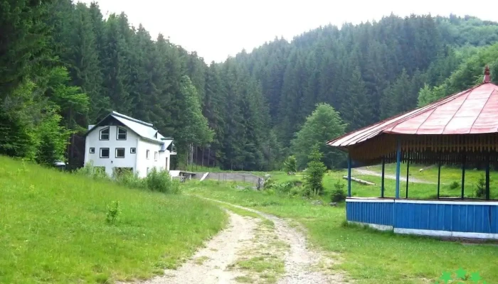 Băiuț - Băiuț