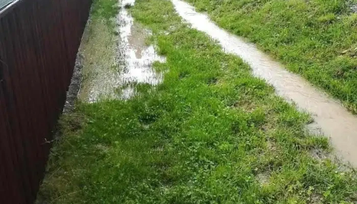 Băiţa de sub Codru - Băiţa De Sub Codru