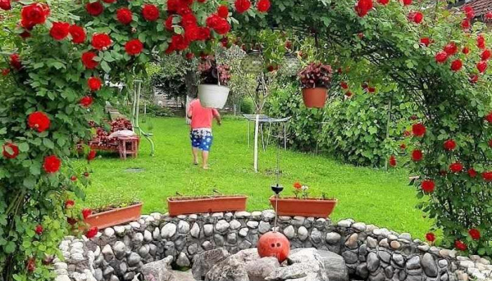 Bălilești - Bălilești