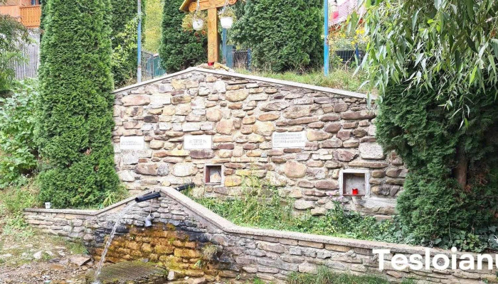 Bătrâni - Bătrâni