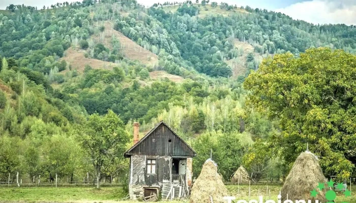 Băuțar - Băuțar