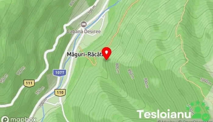 C.s.v. Măguri-răcătău - Com. Maguri Racatau, Cluj, 407365