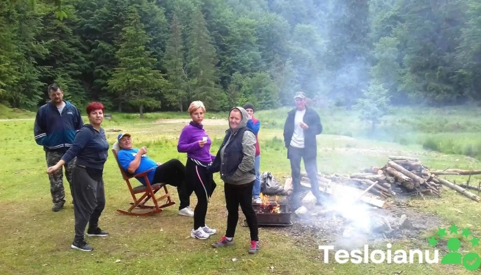Cabana Pirusca De La Vizitatori - Romania