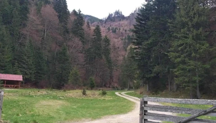 Cabana Pirusca Exterior - Romania