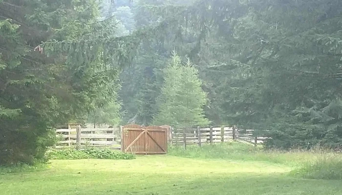 Cabana Pirusca Număr - Romania