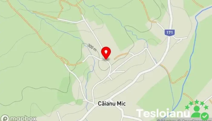 hartă a Căianu Mic  în Căianu Mic