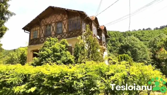 Calimanesti Videoclipuri - Călimănești