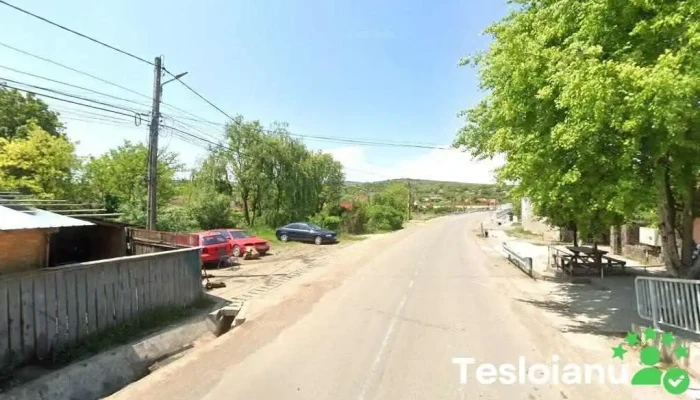 Calu servis - Iclănzel 547340