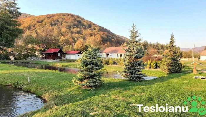 Campu Cetatii Instagram - Câmpu Cetăţii
