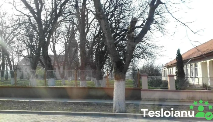 Caporal Alexa -  Număr - Caporal Alexa