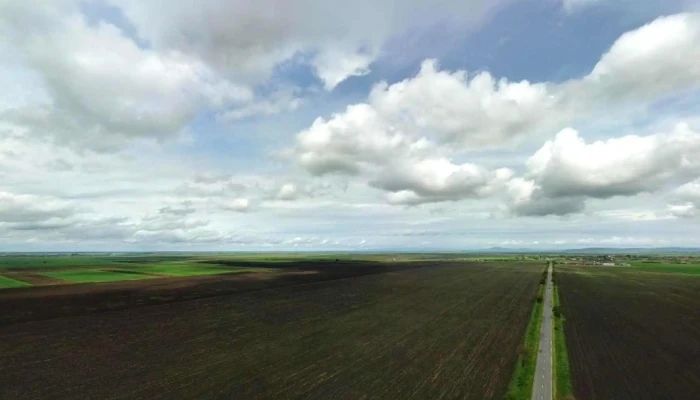 Caporal Alexa -  Street View Si 360deg - Caporal Alexa