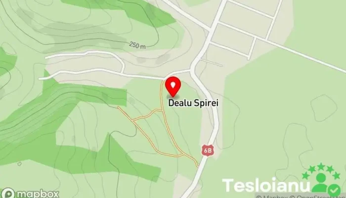 hartă a Căpreni  în Căpreni
