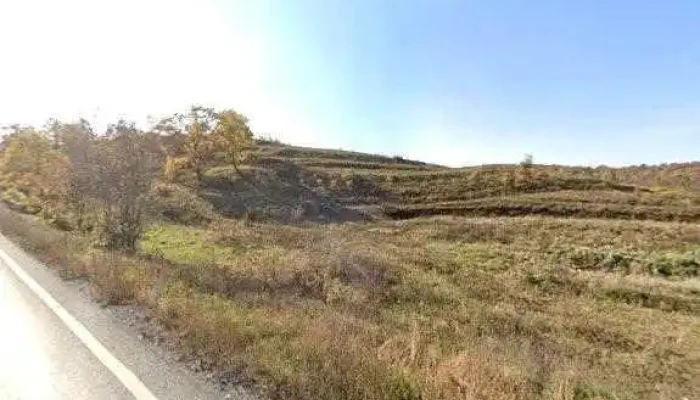 Capsuna De Saschiz -  Street View Si 360deg - Saschiz