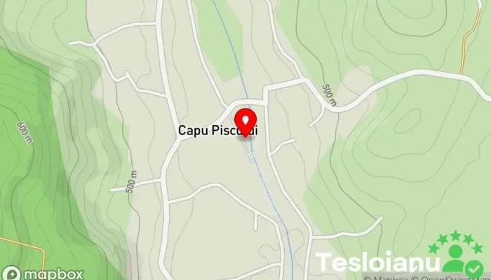 Capul Piscului - Capul Piscului