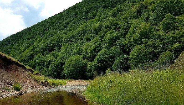 Capus Romania - Romania