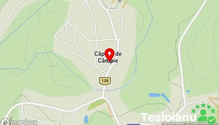 hartă a Căpuşu de Câmpie  în Căpuşu de Câmpie
