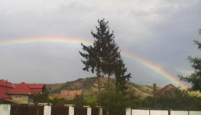 Capusu De Campie Prețuri - Căpuşu De Câmpie