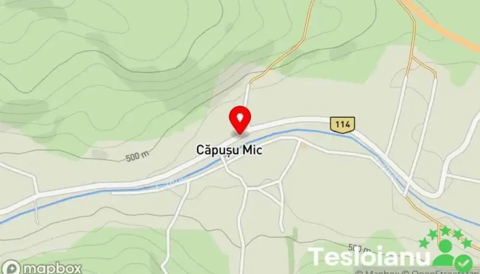 hartă a Căpuşu Mic  în Căpuşu Mic