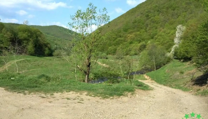 Capusu Mic Munte - Căpuşu Mic