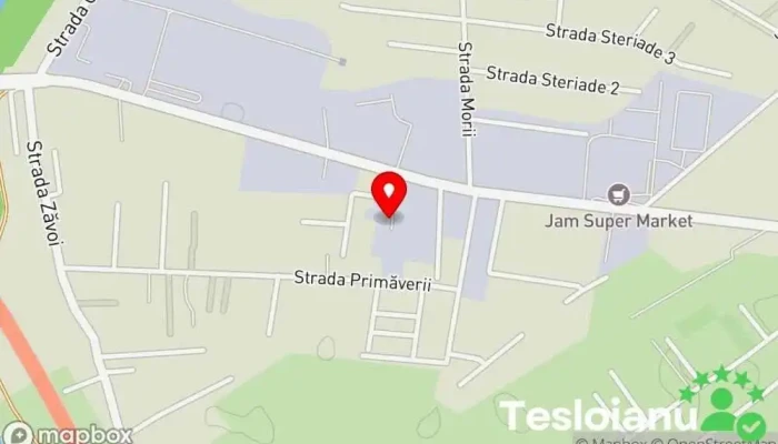 hartă a Car System Service auto, Servicii de transport în Zăvoi