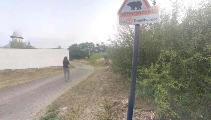 Caransebes Street View Si 360deg - Caransebeș