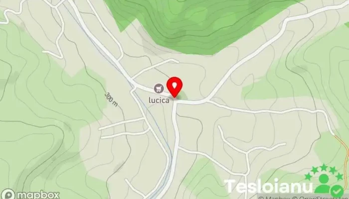hartă a Cărbunești  în Cărbunești