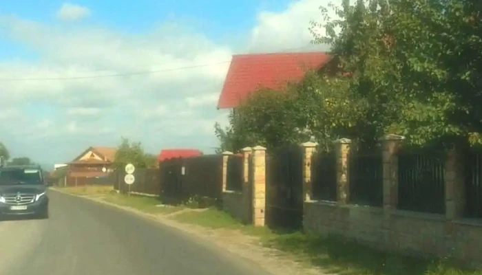Carpinis Videoclipuri - Cărpiniș