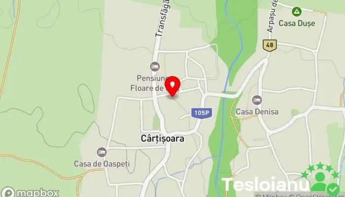 hartă a Cârțișoara  în Cârțișoara