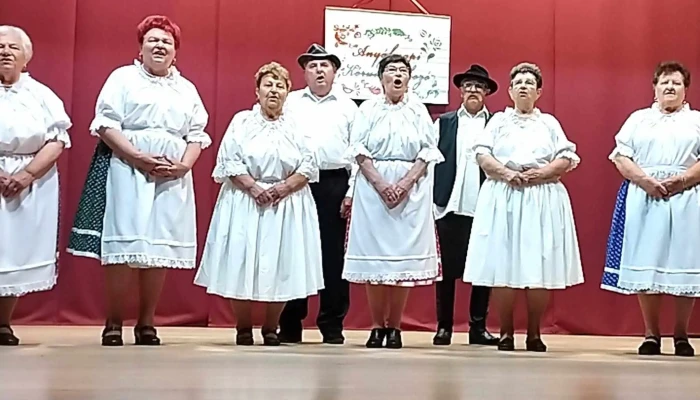 Casa De Cultura Cum Să Ajungi Acolo - Salonta