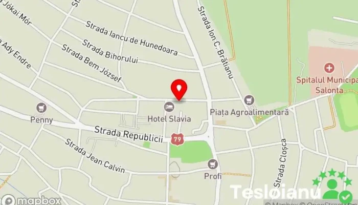 hartă a CASA DE CULTURĂ Centru cultural în Salonta
