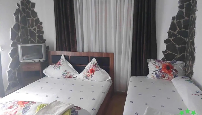 Casa Ionela Petreus Camere - Poienile Izei