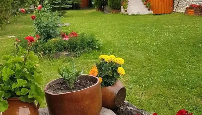 Casa Lacul Mierlei -  Cabana - Sovata