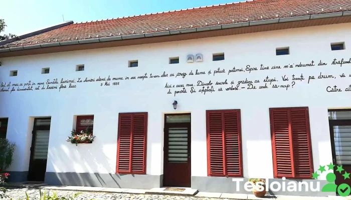 Casa Memoriala Lucian Blaga Videoclipuri - Lancrăm