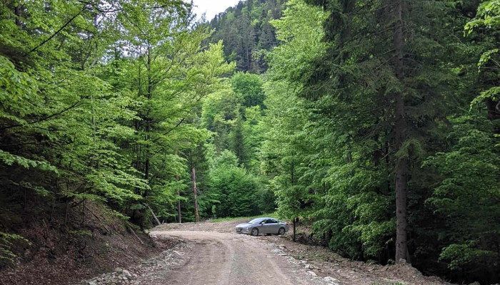 Cascada Muntioru -  Aproape De Mine - Romania