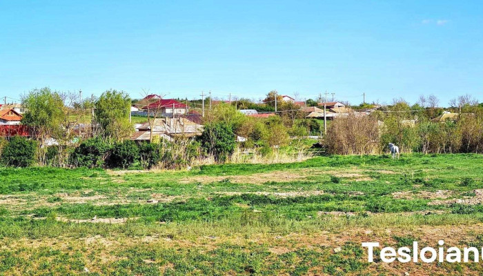 Casimcea -  Adresă - Casimcea