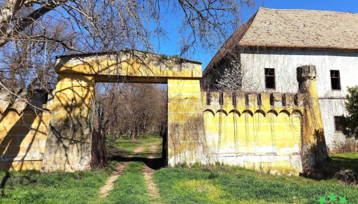 Castelul Banloc -  Arc - Banloc