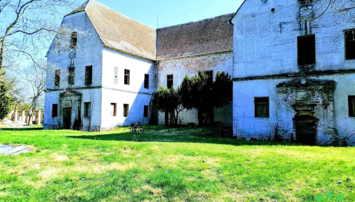 Castelul Banloc -  Gradina - Banloc